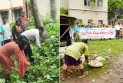 ডেঙ্গু প্রতিরোধে চুয়াডাঙ্গায় পরিচ্ছন্নতা অভিযান, ঝোপঝাড় কাটলেন জেলা প্রশাসক
